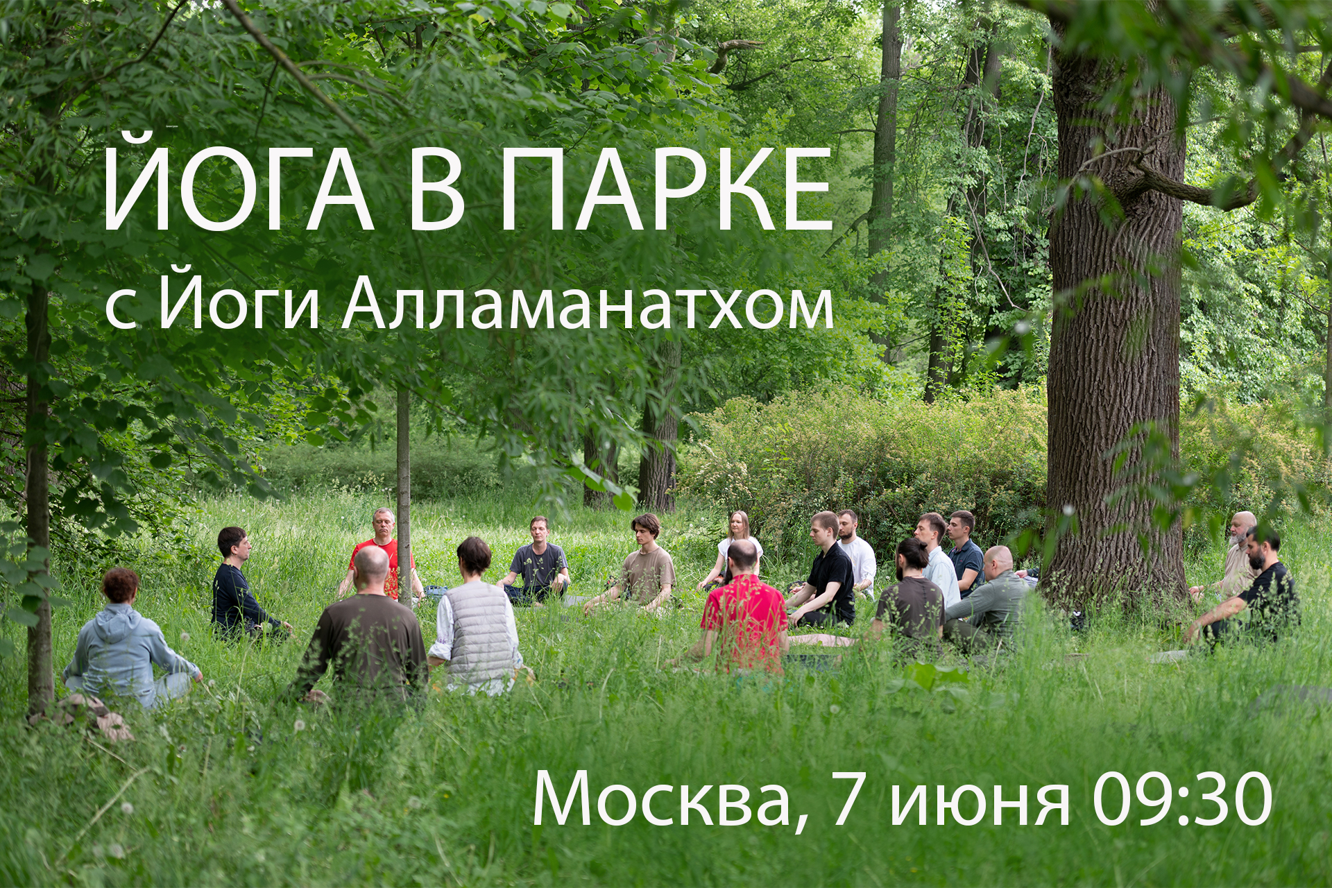 Йога в парке, 7 июня 2026